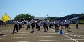 264-4.jpg
